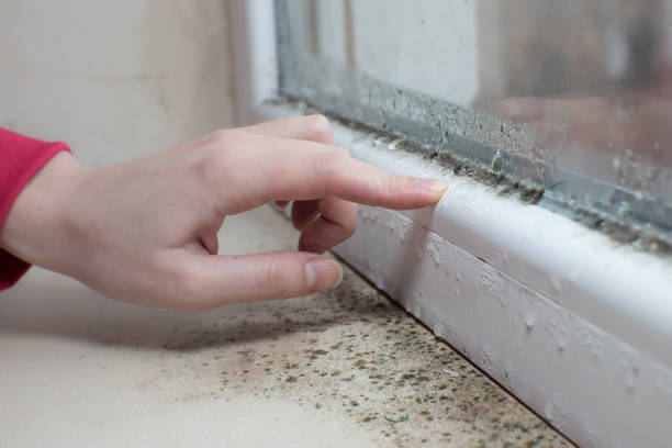 Best Dehumidification Services  in Redland, TX
